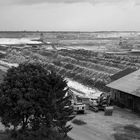 Tagebauland-      schaft Garzweiler