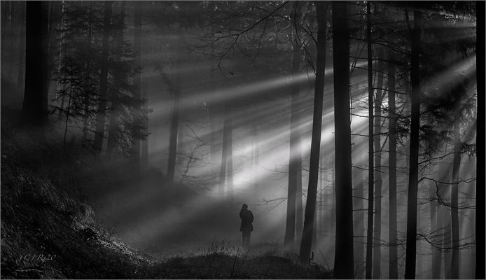 tagebuch der träume 