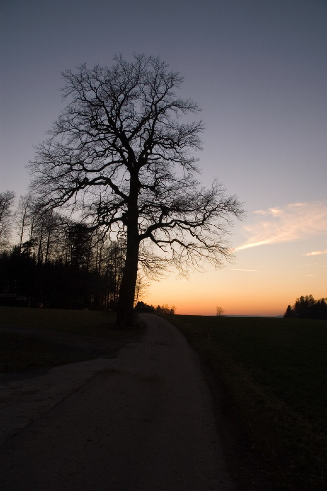 Tagelswangen Sonnenuntergang