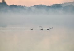 Tagesanbruch an meinem Seerevier......