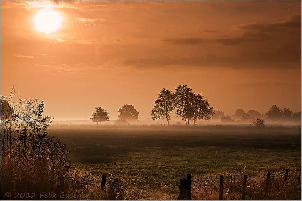 Tagesanbruch im Recker Moor (2)