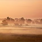 Tagesanbruch im Recker Moor (3)