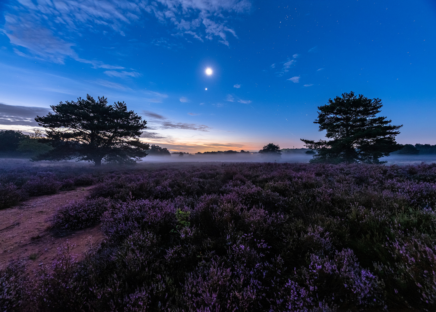 Tagesanbruch in der Mehlinger Heide