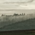 Tagesanbruch in der Pfalz I