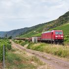 Tagesausflug an die Mosel (6)