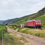 Tagesausflug an die Mosel (6)