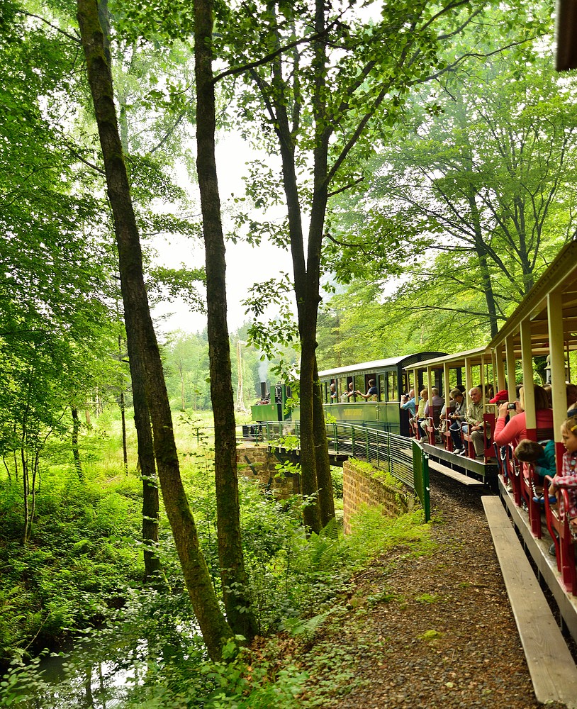 Tagesausflug in das Tal der Roten Saar (Fr. Lothringen)