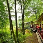 Tagesausflug in das Tal der Roten Saar (Fr. Lothringen)