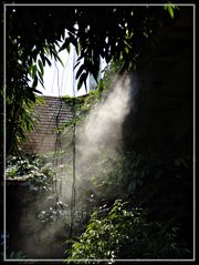 Tagesausflug in den Regenwald