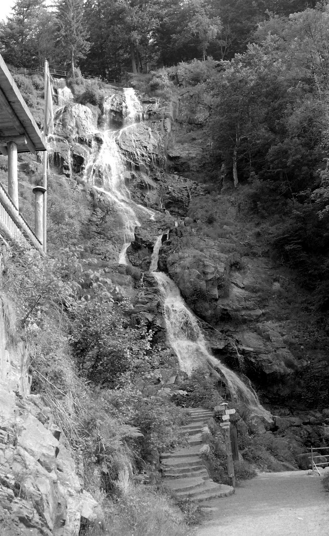 Tagesausflug Todtnau: WasserFall