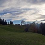 "Tagesausflug von Ende Oktober 6"