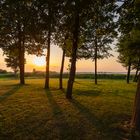 Tagesausklang am Bodstedter Bodden