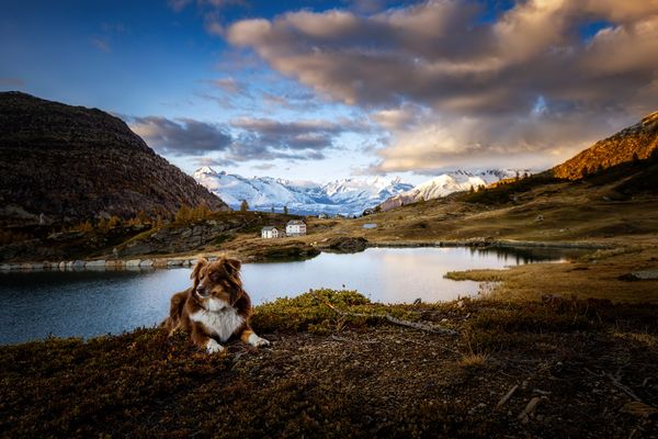 Tagesausklang am Rotelsee