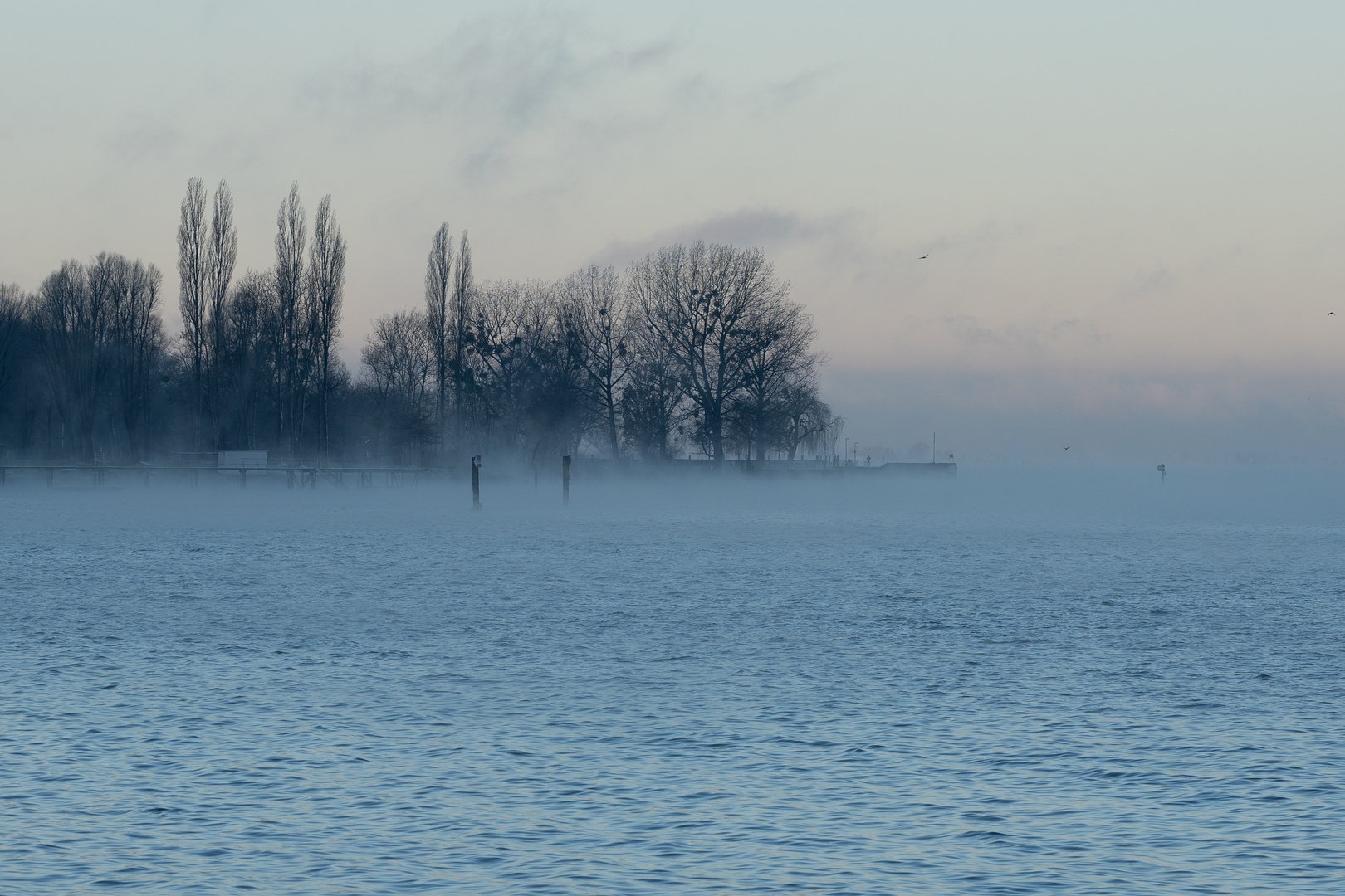 Tagesbeginn am Bodensee