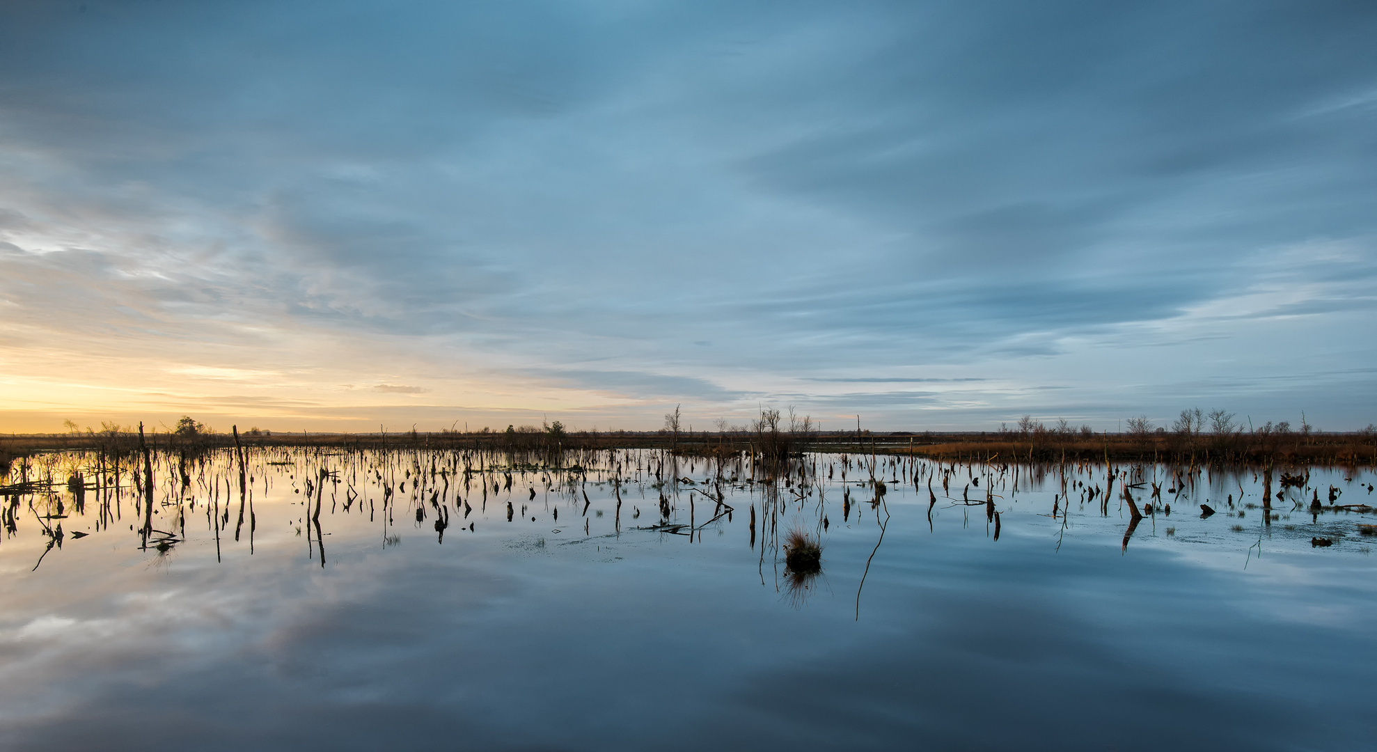 __Tagesbeginn im Moor__