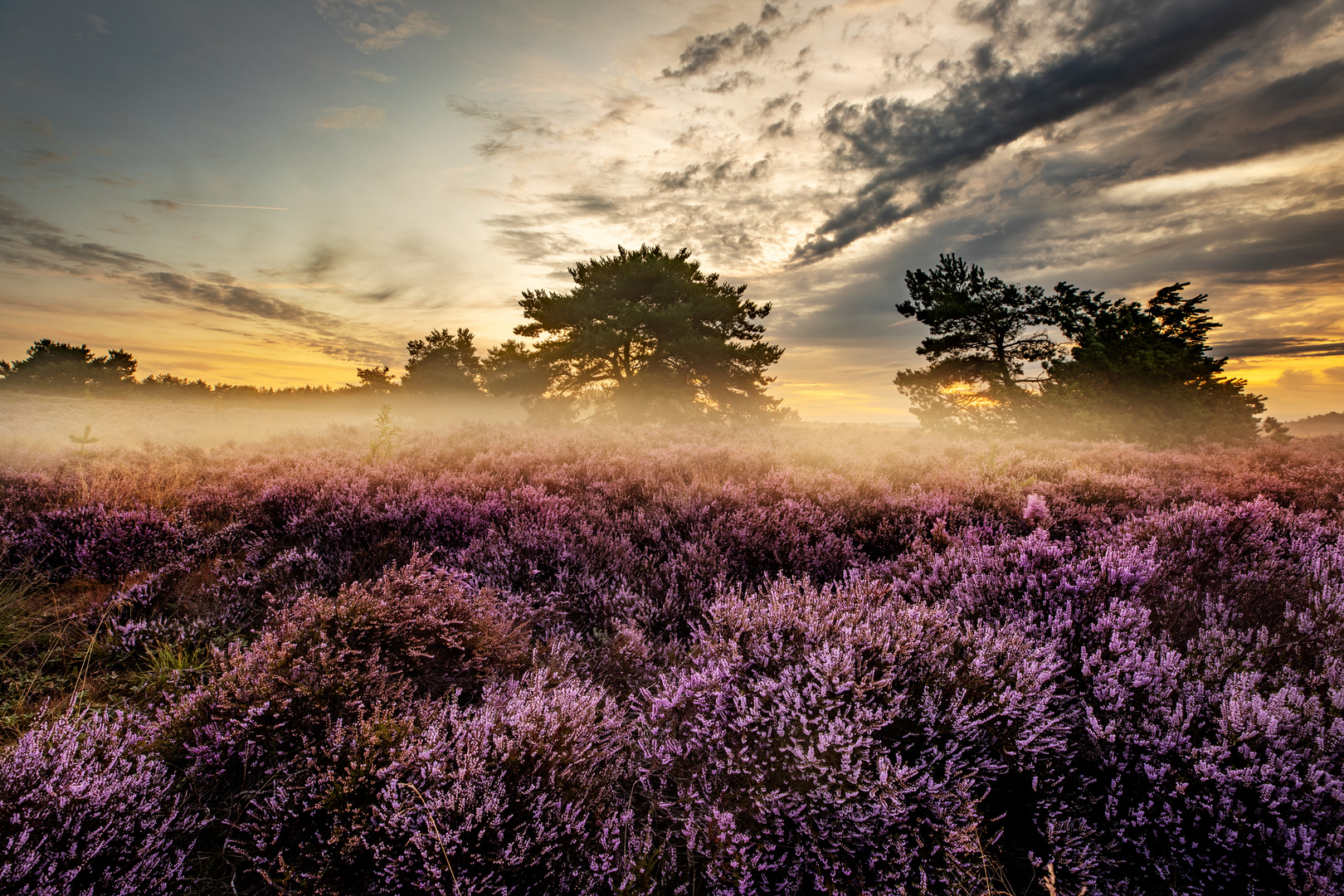 Tagesbeginn in der Mehlinger Heide