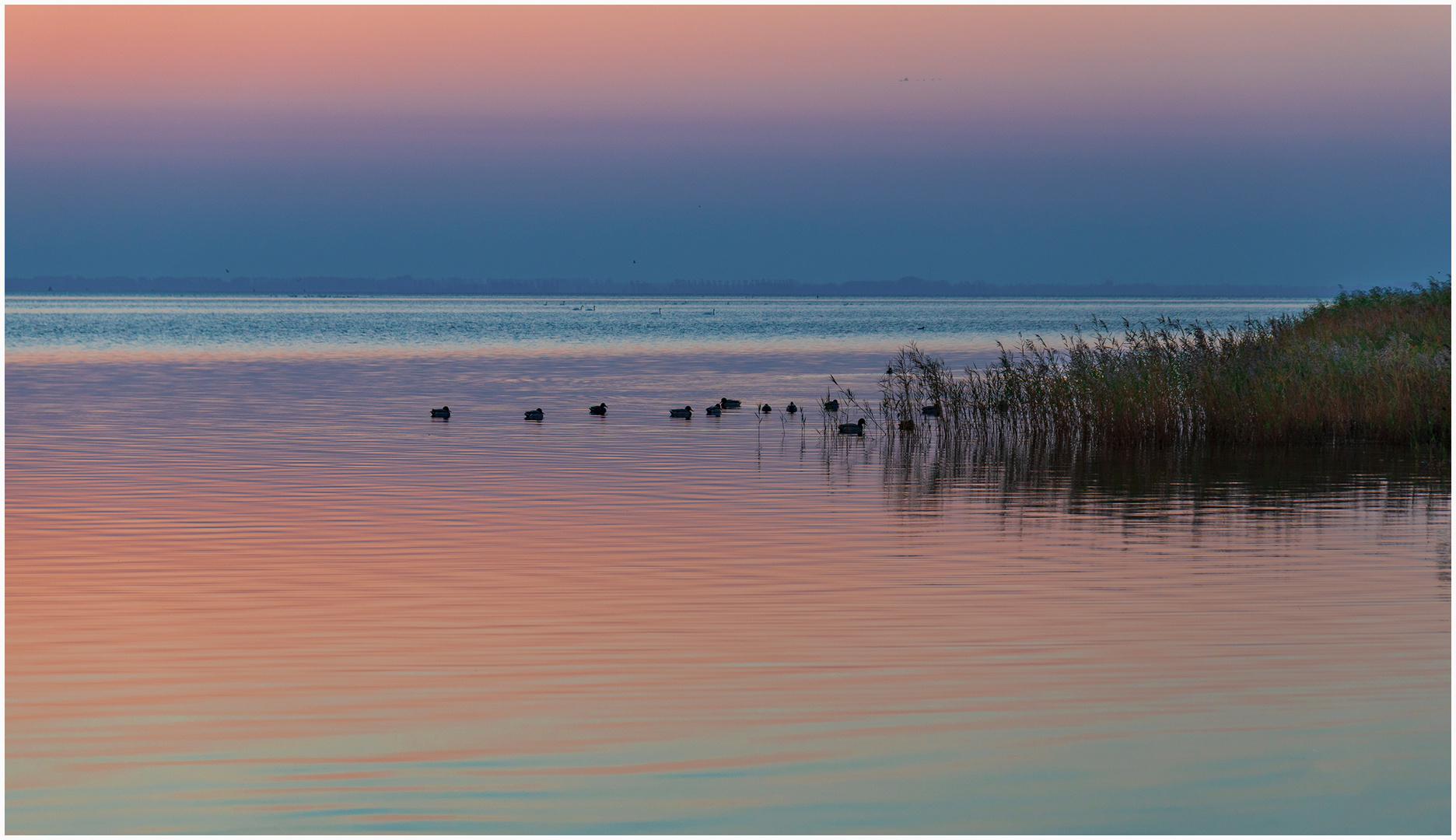 _Tagesbeginn_an_der_Ostsee