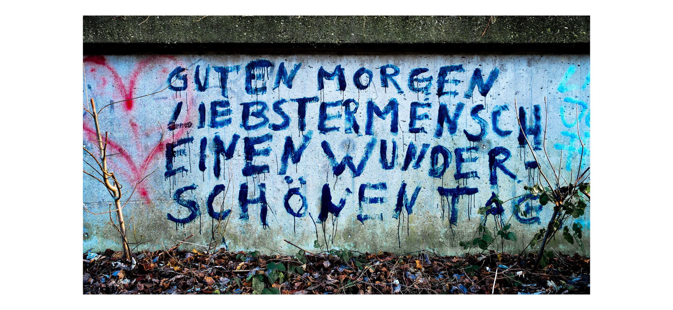 Tagesmotto