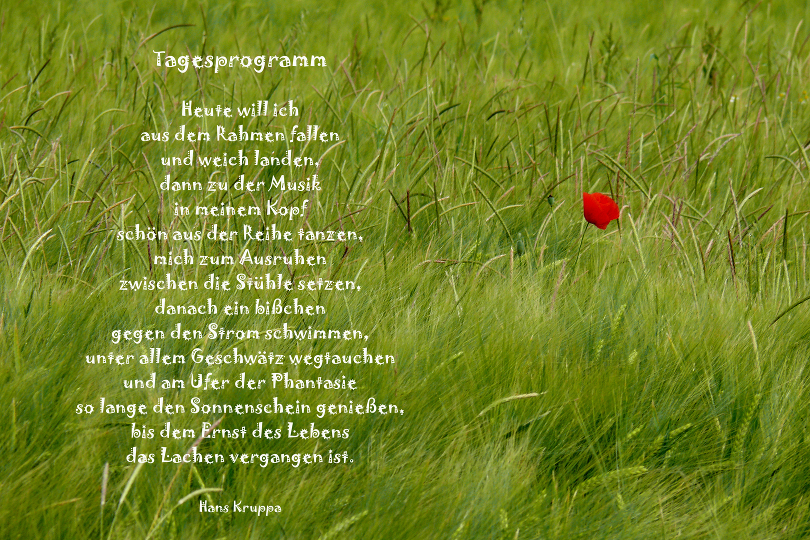 "Tagesprogramm"