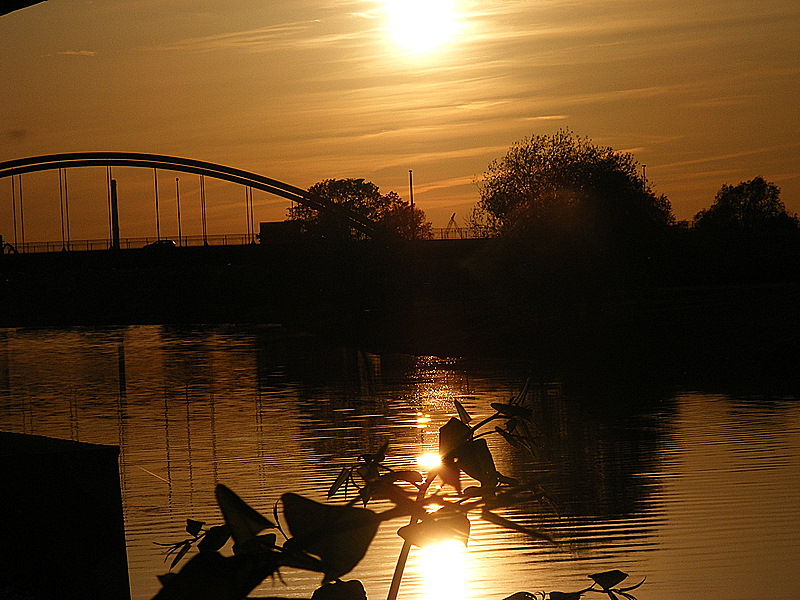 Tagestour in Duisburg IV