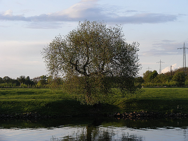 Tagestour in Duisburg VI