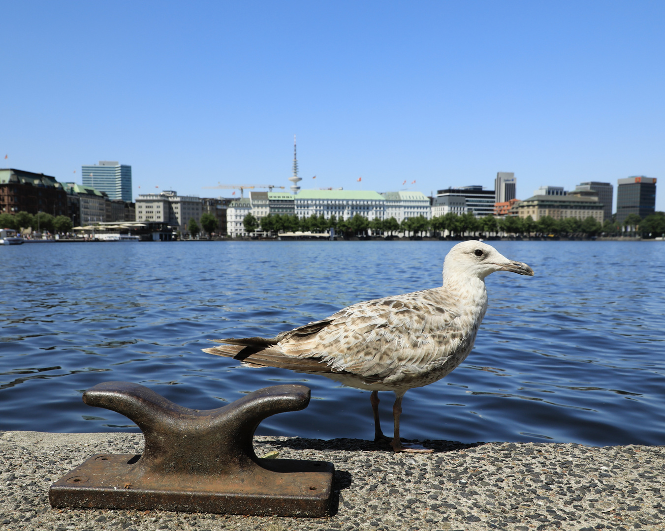 Tagestourist in Hamburg