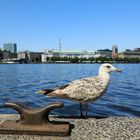 Tagestourist in Hamburg