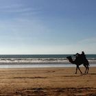 Taghazout Kamel am Strand