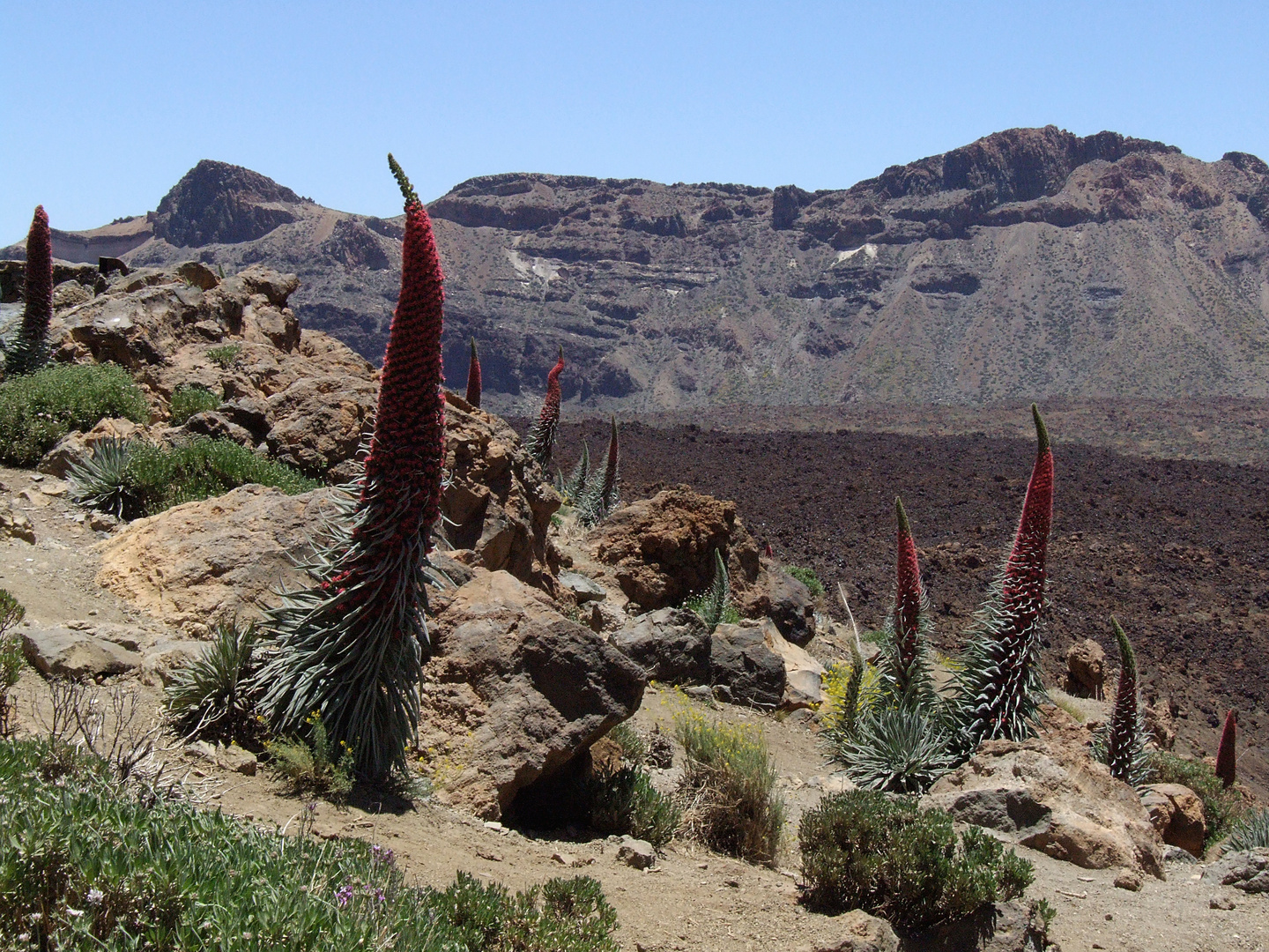 Taginasten in der Caldera