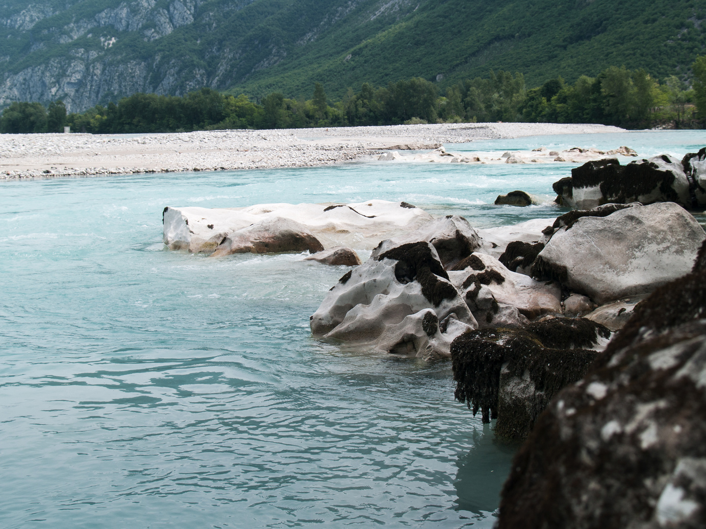 Tagliamente 01