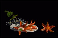 Taglilien-Häppchen