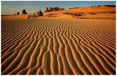 Tagrera Desert