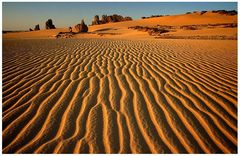 Tagrera Desert