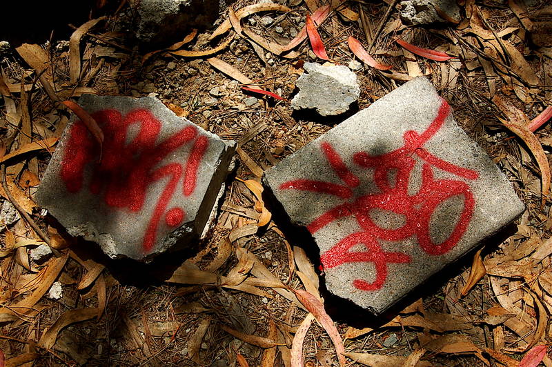 Tags in the park