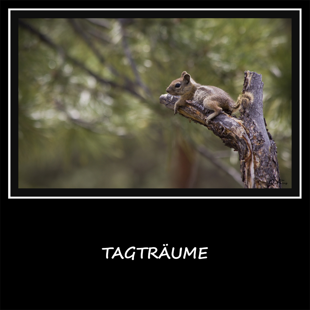 Tagträume