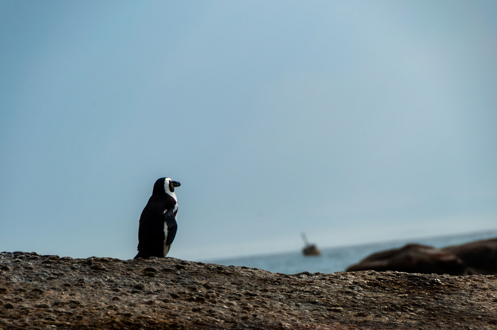 Tagträume am Meer