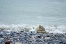 Tagträume auf Helgoland von Gunnar Tomforde 