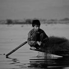 tagwerk, inle see, burma 2011