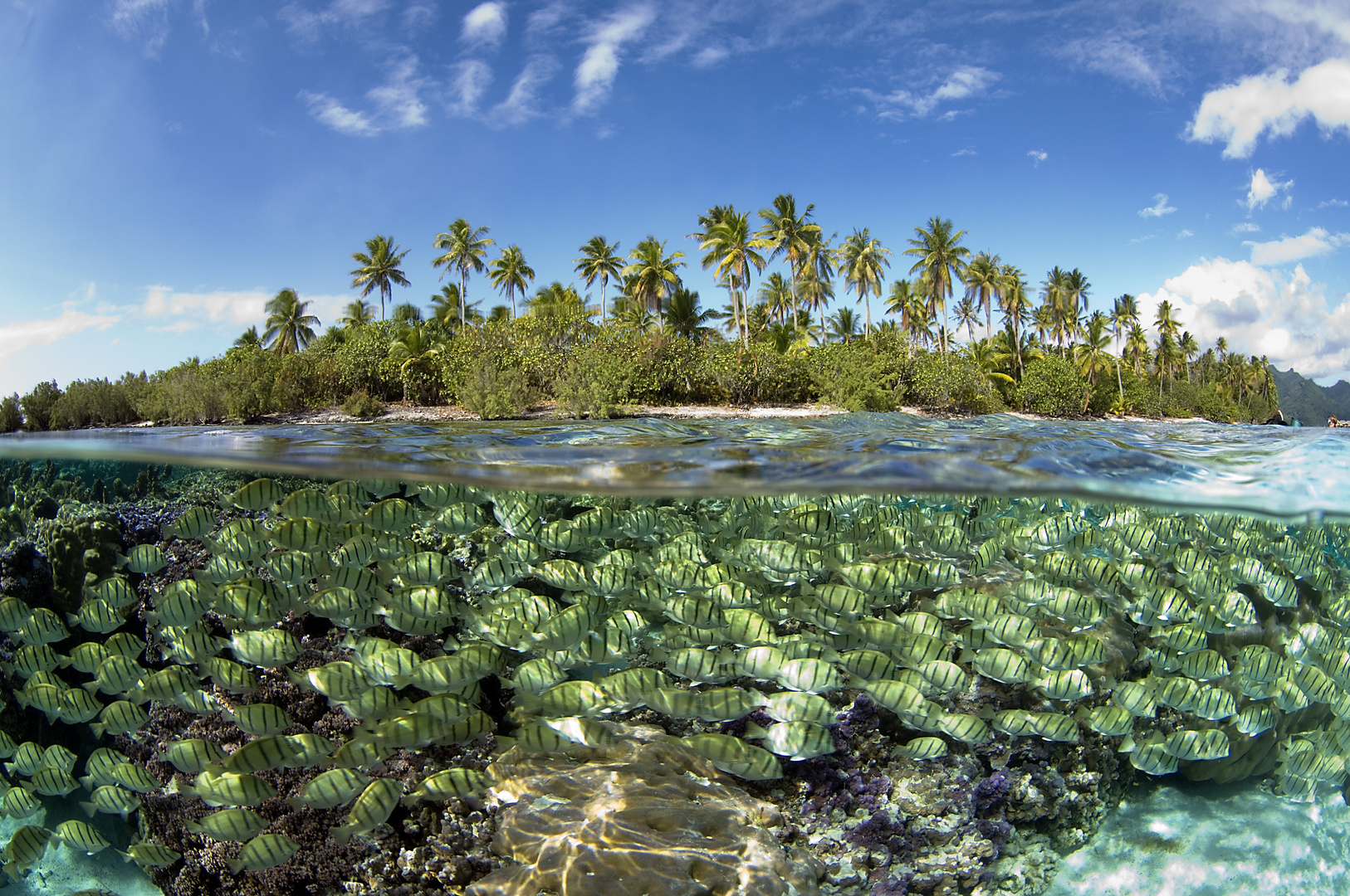 Tahiti