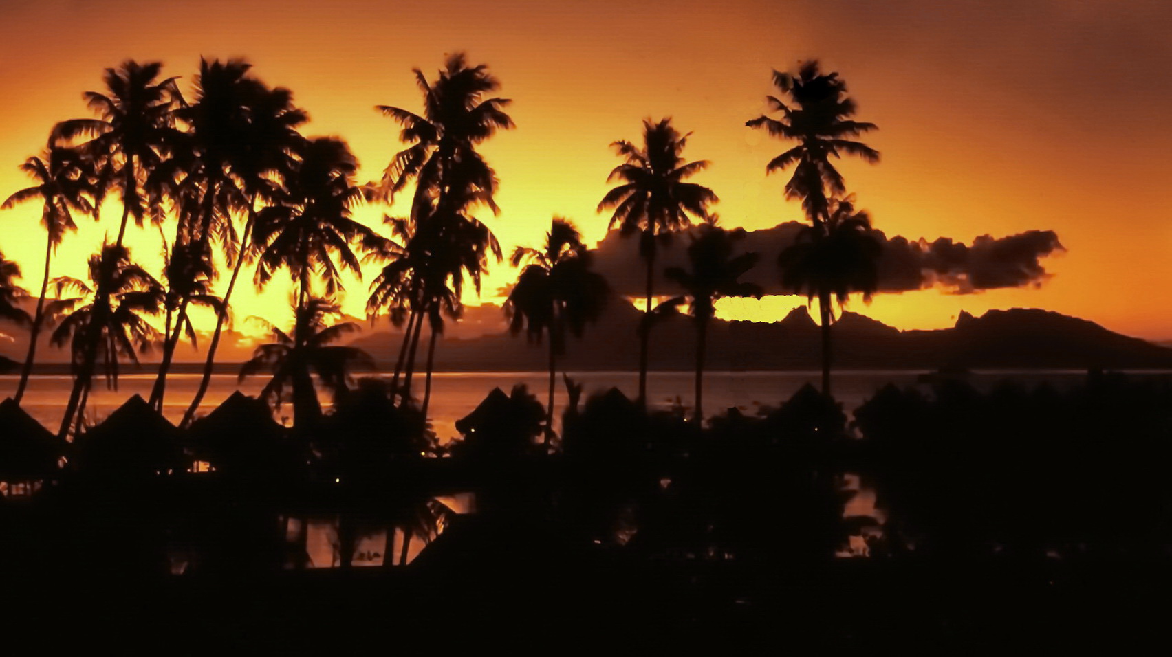 Tahiti Sundowner