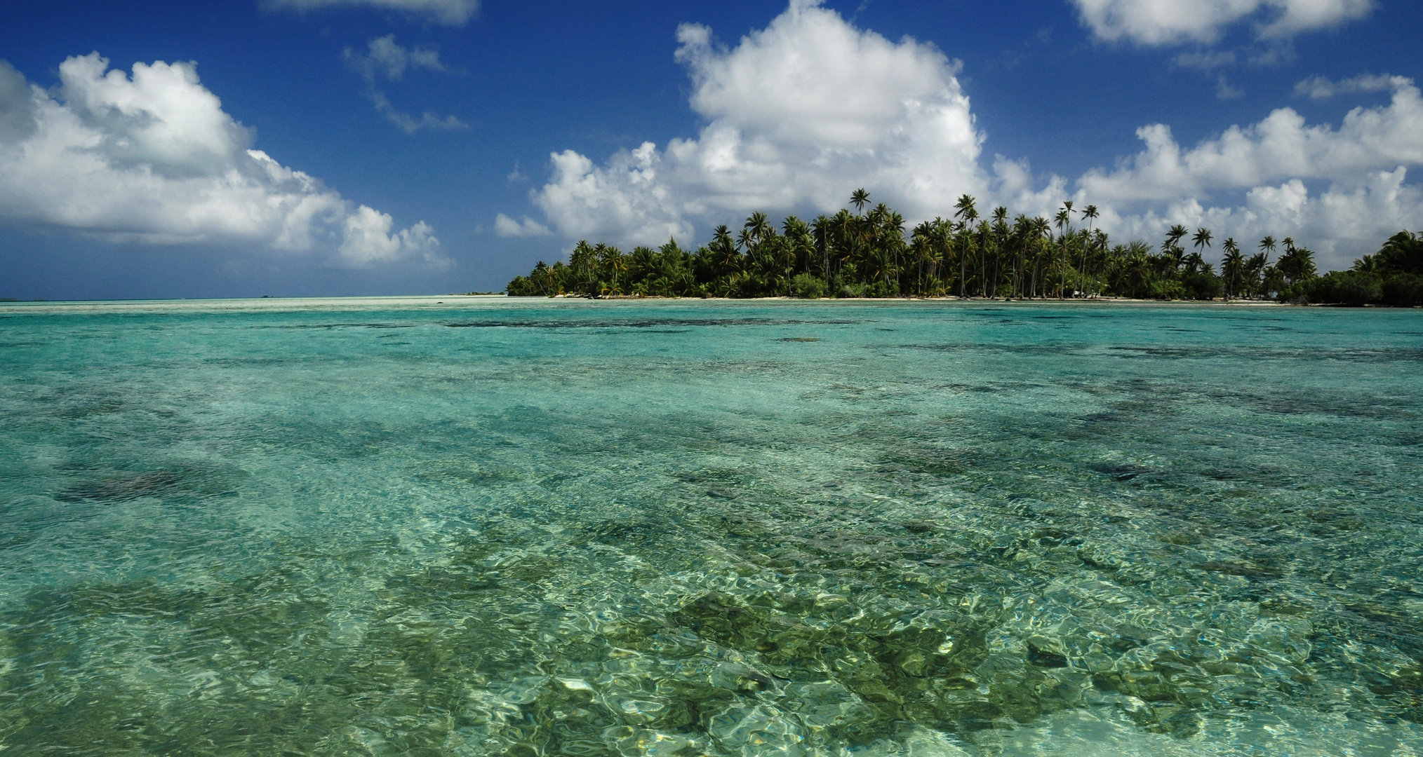 Tahiti Träume der Südsee