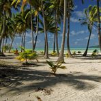 Tahiti Trench Polynesia Oceania