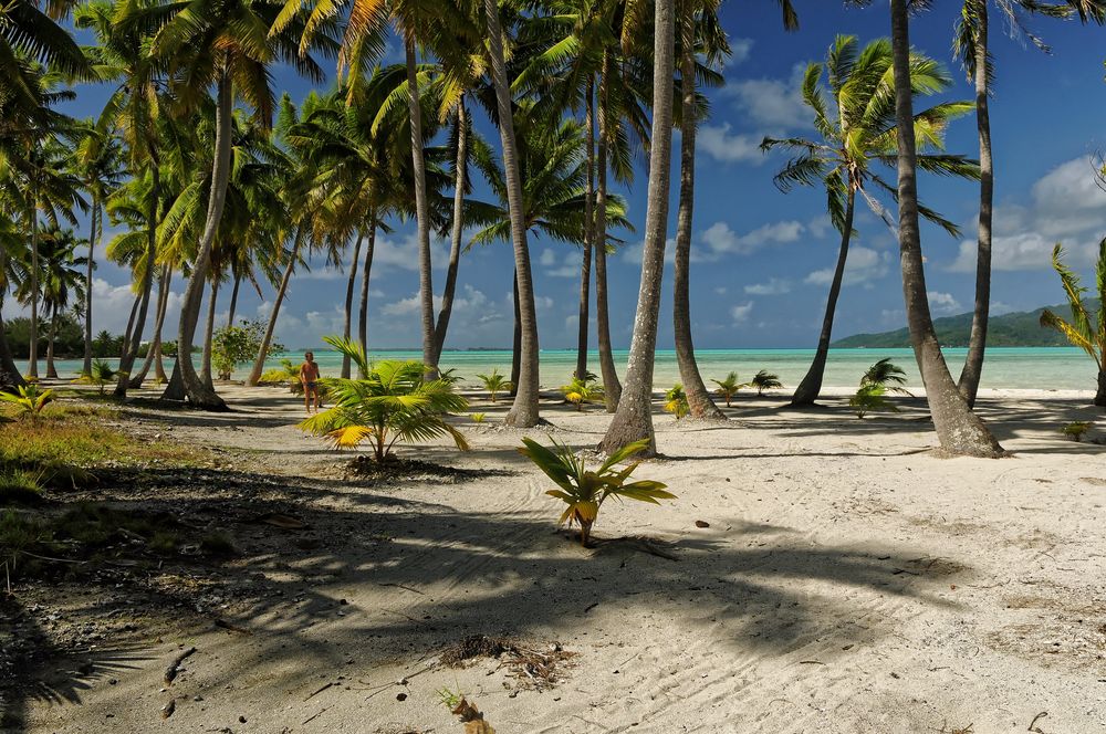 Tahiti Trench Polynesia Oceania