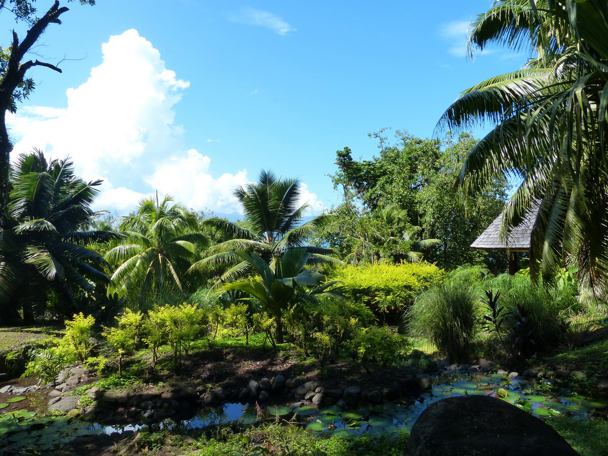 Tahiti. Vaipahi Gardens