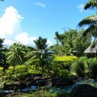 Tahiti. Vaipahi Gardens