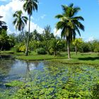 Tahiti. Vaipahi Gardens.