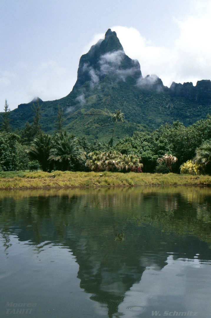 Tahitis Nachbarinsel Moorea