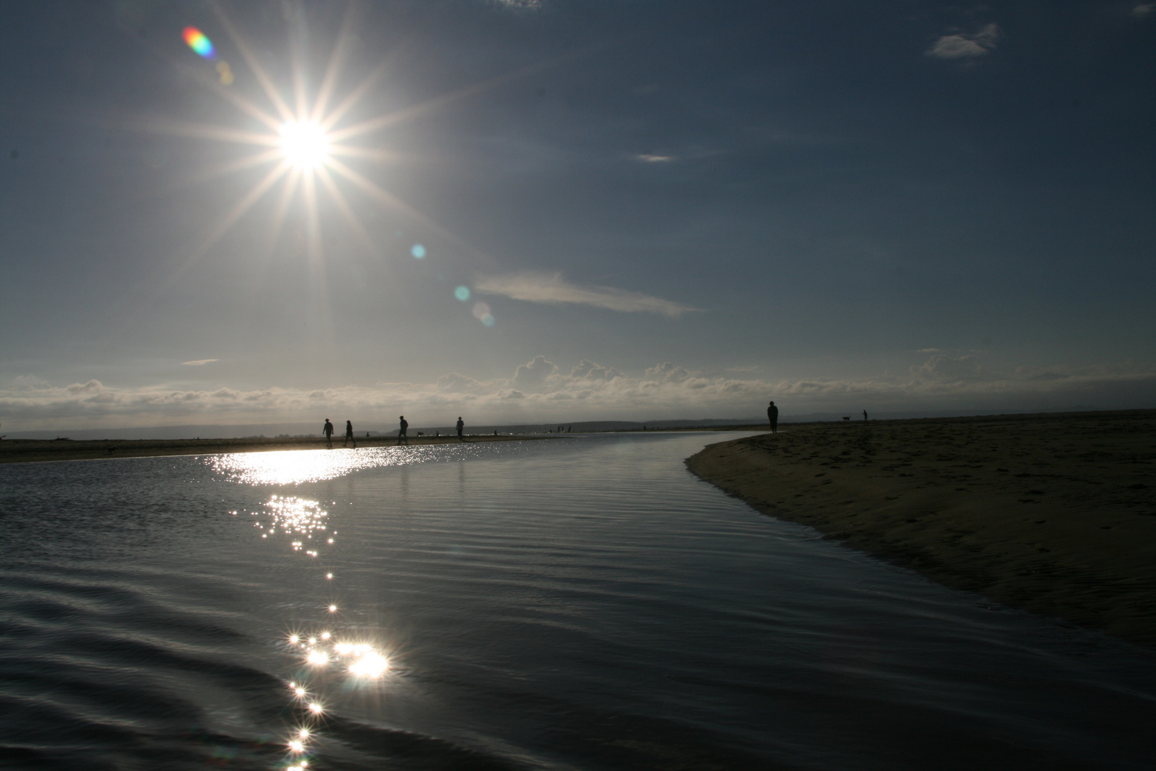 tahunanui beach