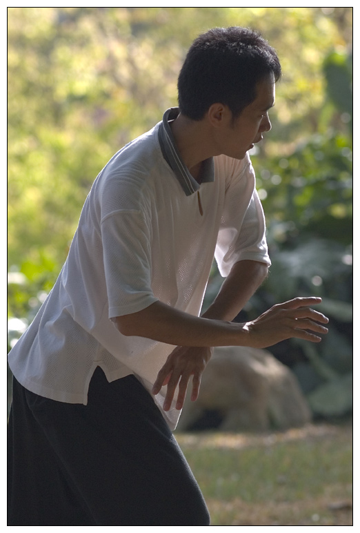 Tai Chi in Fort Canning Park