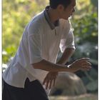 Tai Chi in Fort Canning Park